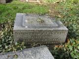 image of grave number 874341